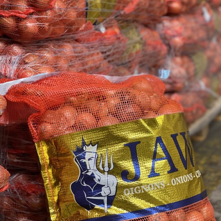 Jawa-food yellow onions packed 25 kilo worldwide export shipment container